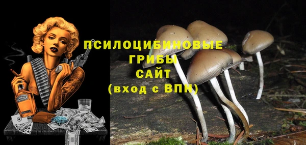 apvp Баксан